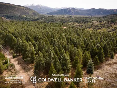 VENTA Lote San Martín de los Andes 840 M2 - Financiación - Ruta 40 - Vistas panorámicas