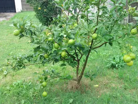 Casa 6 ambientes con 2 baños