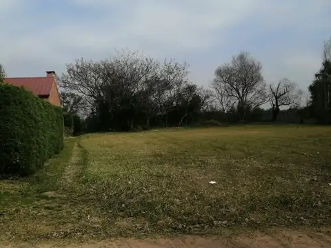 Campo en Venta Agrícola
