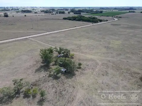 Campo Mixto  en venta de 141 Has - Excelente acceso desde Ruta N° 29 - Ranchos