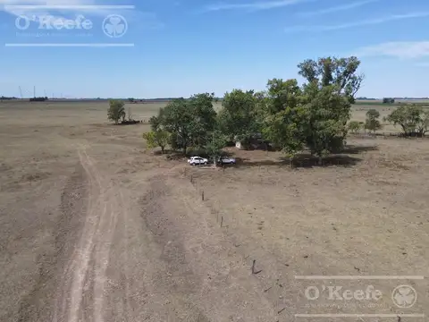 Campo Mixto de 141 Has en venta - Excelente acceso desde Ruta N° 29 - Ranchos