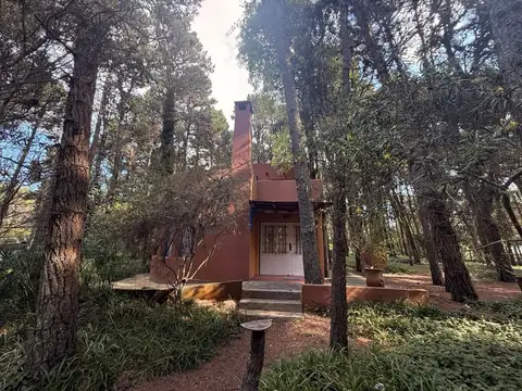 Parana 100