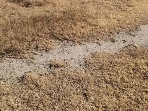 Oficina en Venta en San Rafael, USD 40.000