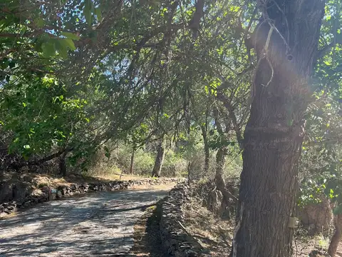 Terreno en Venta de 20000,0 m2