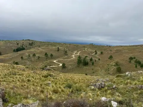 Ruta Provincial S271 100