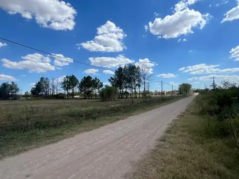 calle 174