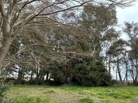 Campo a 15 Km de la Ruta Nº 91; y a 210 Km de CABA.