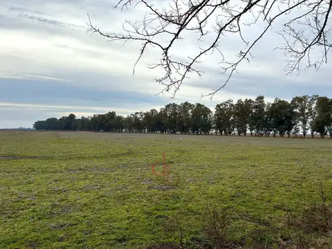 Campo a 15 Km de la Ruta Nº 91; y a 210 Km de CABA.