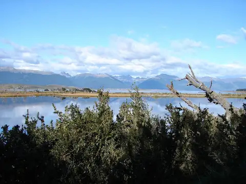 Campo - Ushuaia