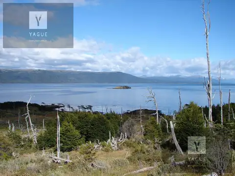 Campo - Ushuaia