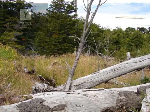 Tierra del Fuego