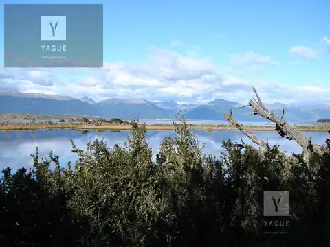 Campo - Ushuaia