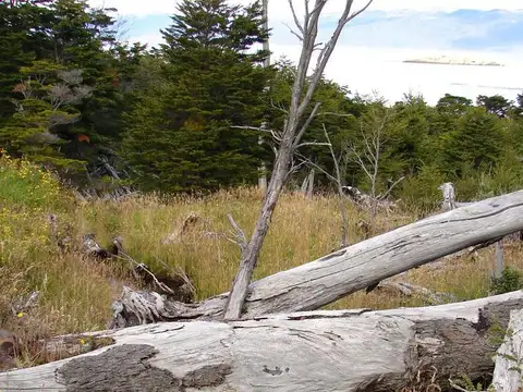 Tierra del Fuego