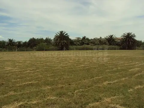 Terreno en Venta en Chascomus, USD 600.000