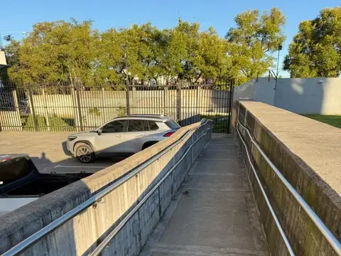 Gallesio 100