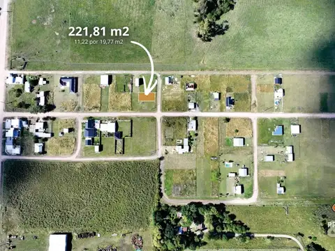 Tessore a mts de calle Hugo Gurnel