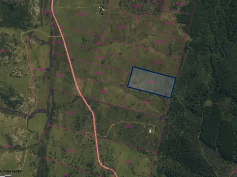 RUTA 81 KM 110