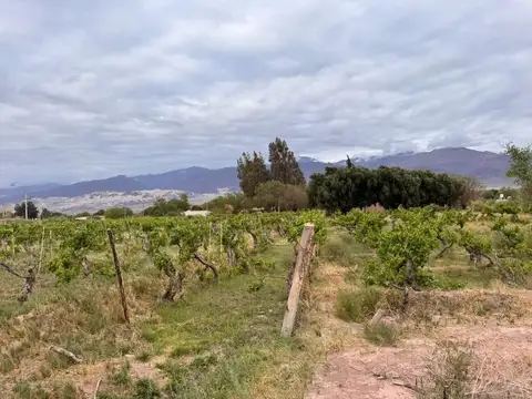 Terreno en Venta en Fiambala, USD 108.350