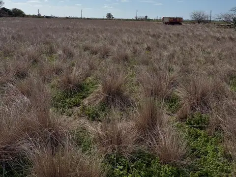 Terreno en Venta de 24279,0 m2