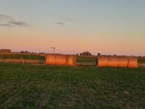 Campo en Venta de 67  ha