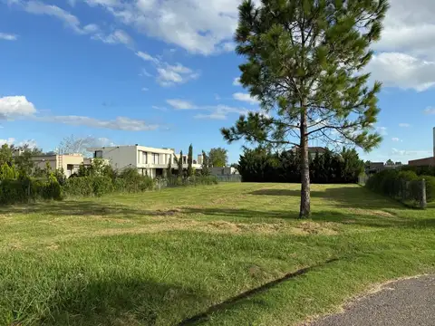 Los Espinillos y Av del Lago