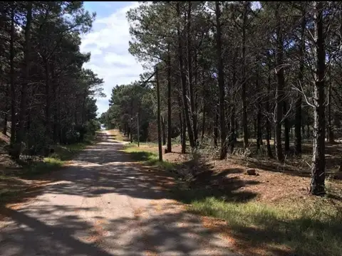 Terreno en Venta en Monte Hermoso, USD 43.000