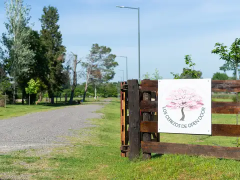 Ruben Torres 1450 1400