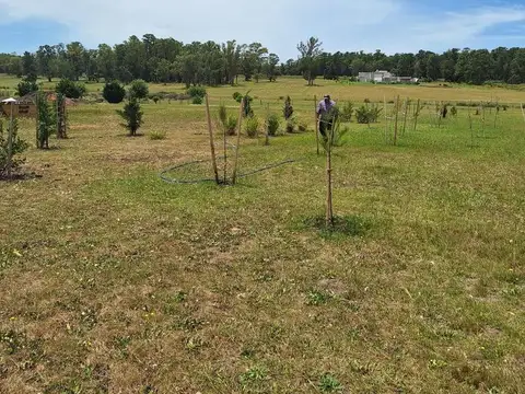 Terreno en Venta de 16000,0 m2