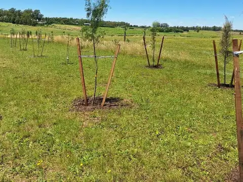 Lch. Venta De Terreno En, Barrio Quebradas