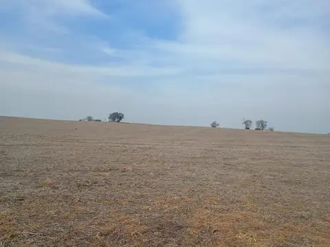 Vendo 40 has Diamante