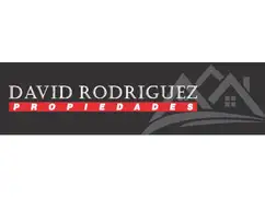DAVID RODRIGUEZ PROPIEDADES