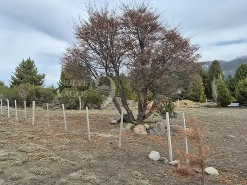 Meliquina, lote 12 de la manzana D2