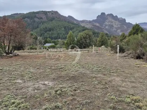 Meliquina, lote 12 de la manzana D2