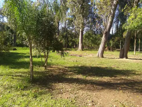 Rio / Arroyo Paraná Miní Parcela 100