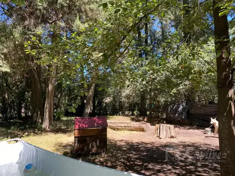 Carlos de linneo al 1300