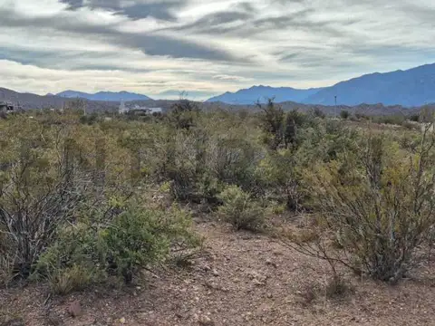 Terreno en Venta de 2010,75 m2