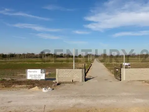 Lotes en Fincas Los Cerezos, Los Hornos