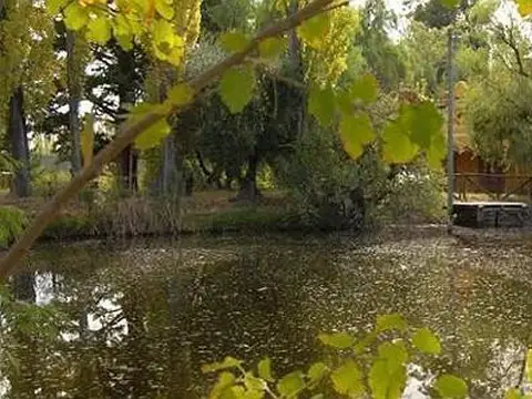 Terreno Campo  en Venta en Rama Caída, San Rafael, Mendoza, Argentina
