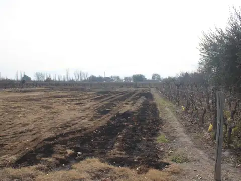 Terreno en Venta de 6291,0 m2