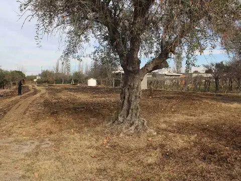Terreno en Venta en Santa María de Oro, USD 45.000