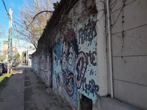 Terreno en Alquiler 14  mts Frente