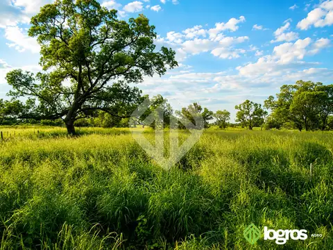 Campo Mixto en venta de 2100 ha | Macapillo | Provincia de Salta