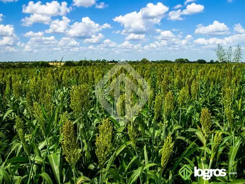 Campo Mixto en venta de 2100 ha | Macapillo | Provincia de Salta