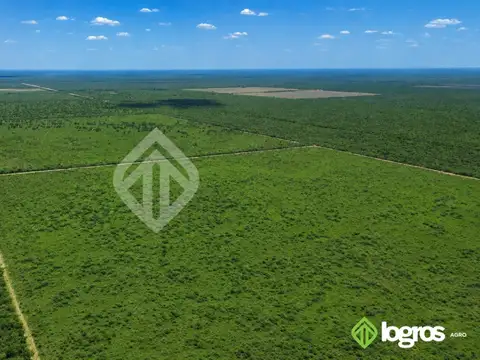 Campo Mixto en venta de 2100 ha | Macapillo | Provincia de Salta