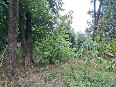 Venta de Terreno en Moreno
