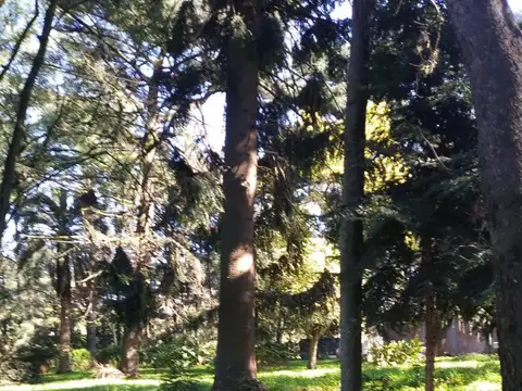 Venta de Terreno en Moreno