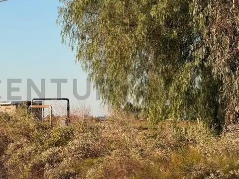 Venta de Finca. Corralitos Maipú.