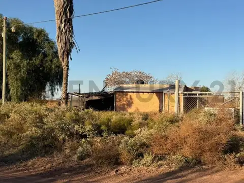 Los Pinos y Olascoaga , Piso 0