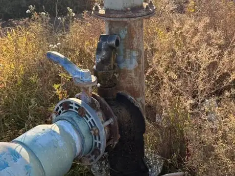 Los Pinos y Olascoaga , Piso 0