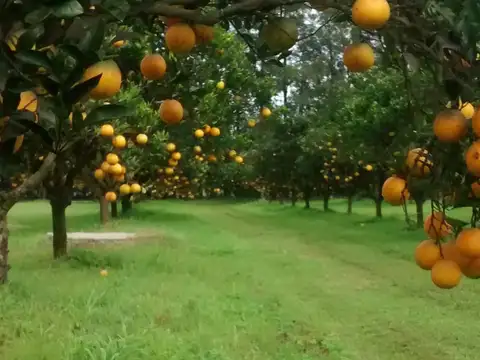 Casa en Venta de 1 dormitorio